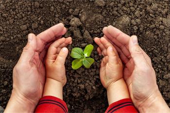 Celebramos el Día Mundial del Medio Ambiente