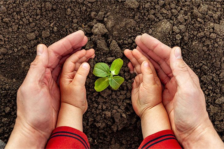 Celebramos el Día Mundial del Medio Ambiente