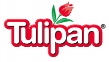 Tulipán 